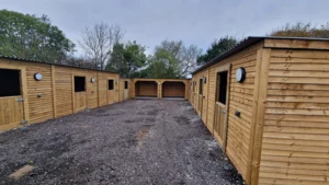 equestrian renovation