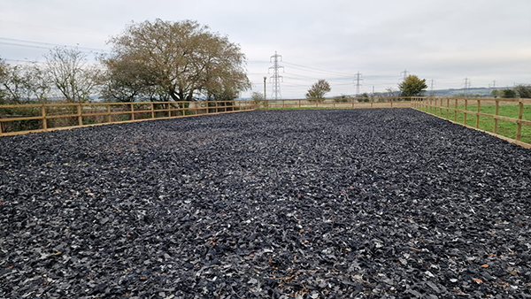 equestrian works renovation